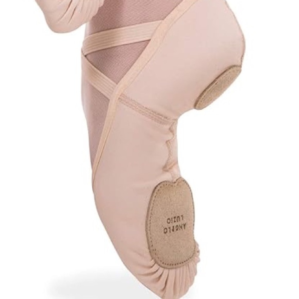 Angelo Luzio 4 way Stretch ballet slippers